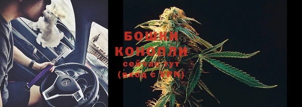 гидра Каменногорск
