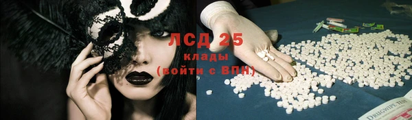 гидра Каменногорск