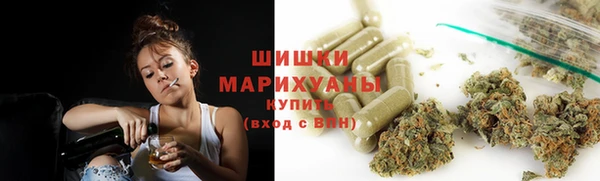 гидра Каменногорск