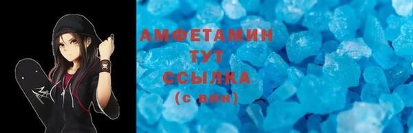 гидра Каменногорск