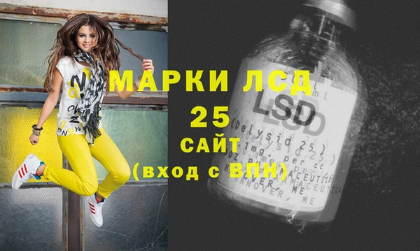 гидра Каменногорск