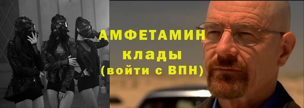 гидра Каменногорск