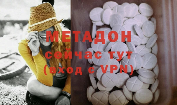 гидра Каменногорск