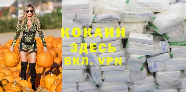 гидра Каменногорск