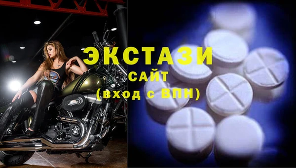 гидра Каменногорск