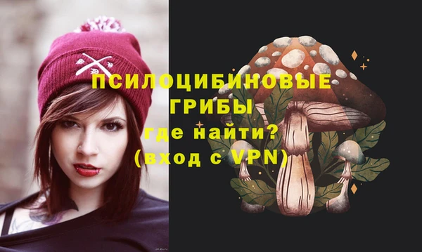 синтетический гашиш Каменск-Шахтинский