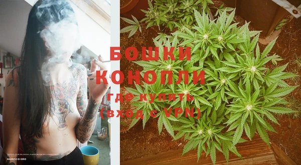 гидра Каменногорск